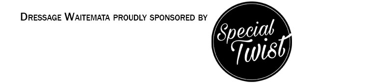 Sponsor